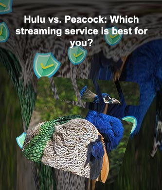 Difference between peacock and peacock premium