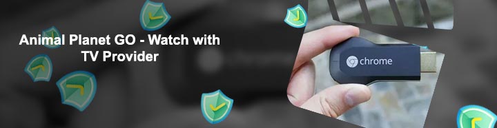 Discovery go chromecast