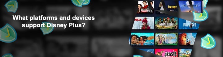Disney plus subscription support