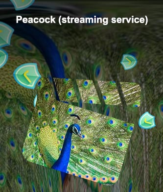 Peacock on comcast