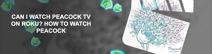 Peacock premium channels