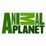 Animal Planet